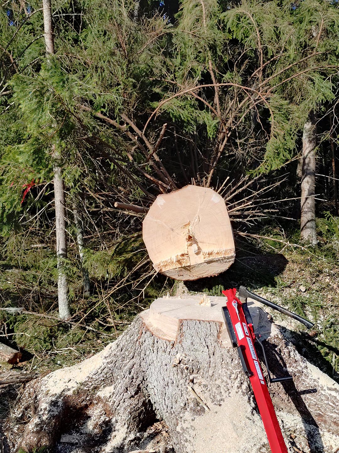 Metsäpalvelu-Turunen-kokonaisvaltainen metsänhoito avaimet käteen Kokonaisvaltainen metsänhoito avaimet käteen