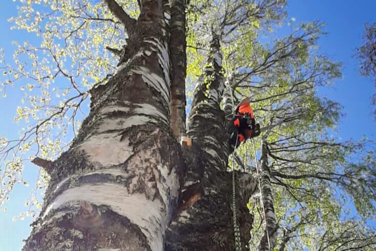 Metsäpalvelu Turunen - metsänomistajan kumppani Tarjoamme asiakaslähtöistä palvelua kaikille metsänomistajille.